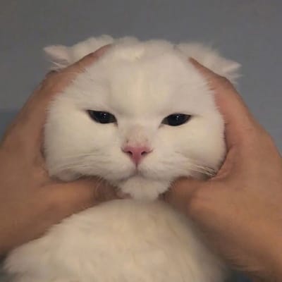 وسیم نصیر avatar