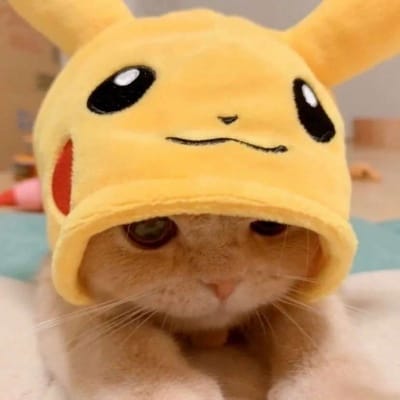 سناء صدیقی avatar